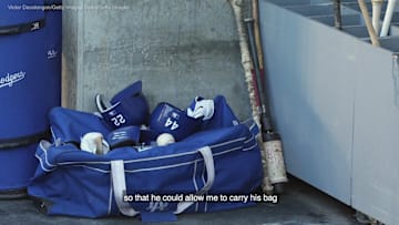 Pedro Martinez's Journey 