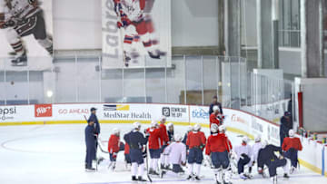 Washington Capitals (Photo by Patrick Smith/Getty Images)