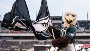 Swoop Mandatory Credit: Bill Streicher-USA TODAY Sports