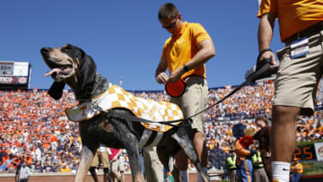 AUBURN, AL - OCTOBER 13: Tennessee Volunteers mascot Smokey X is seen during the game against the Auburn Tigers at Jordan Hare Stadium on October 13, 2018 in Auburn, Alabama. (Photo by Joe Robbins/Getty Images)