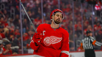 Dec 7, 2023; Detroit, Michigan, USA; Detroit Red Wings center Dylan Larkin (71) looks on during the first period at Little Caesars Arena. Mandatory Credit: Brian Bradshaw Sevald-USA TODAY Sports