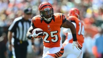 Sep 22, 2013; Cincinnati, OH, USA; Cincinnati Bengals running back Giovani Bernard (25) runs the ball for a touchdown during the first quarter against the Green Bay Packers at Paul Brown Stadium. Mandatory Credit: Andrew Weber-USA TODAY Sports
