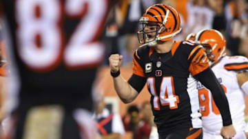 Nov 5, 2015; Cincinnati, OH, USA; Cincinnati Bengals quarterback Andy Dalton (14) reacts to throwing a touchdown pass to tight end Tyler Eifert (not pictured) in the first half against the Cleveland Browns at Paul Brown Stadium. Mandatory Credit: Aaron Doster-USA TODAY Sports