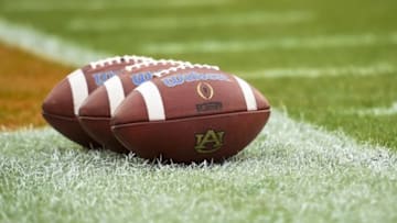 Nov 21, 2015; Auburn, AL, USA; General view of Auburn Tigers footballs on the field prior to the game against the Idaho Vandals at Jordan Hare Stadium. Mandatory Credit: Shanna Lockwood-USA TODAY Sports