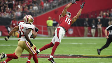 GLENDALE, AZ - NOVEMBER 13: Michael Floyd (Photo by Norm Hall/Getty Images)