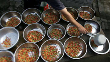 BEIJING - SEPTEMBER 16: (CHINA OUT) A policeman prepares food for dogs at a police dog training base September 16, 2005 in Beijing, China. The dogs are trained by a police squad to learn identifying, catching, tracking and other skills. According to the Ministry of Public Security, there is an estimate of over 10,000 working police dogs in China. These dogs are divided into 30 kinds according to international conventions and are widely used in police work, rescue and military missions. (Photo by China Photos/Getty Images)