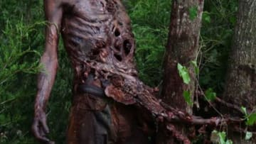 Stephen Vining. Walker. The Walking Dead. AMC.