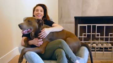 UNSPECIFIED, - MAY 10: Pictured in this screengrab: Whitney Cummings with dog Frank performs on Byron Allen’s Feeding America Comedy Festival, co-produced by Entertainment Studios and Funny or Die, broadcasted on NBC, The Weather Channel, Comedy.TV and Local Now on May 10, 2020 in UNSPECIFIED, UNSPECIFIED - Region AMER. (Photo by Getty Images/Getty Images for Allen Media Group)