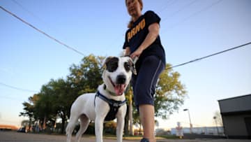 NEW ORLEANS, LOUISIANA - MARCH 24: A dog is taken for a walk outside the Animal Rescue of New Orleans on March 24, 2020 in New Orleans, Louisiana. With so much uncertainty due to the spread of the coronavirus (COVID-19), fewer people are adopting, and adoption events are being canceled due to social distancing efforts. Shelters may see staffing shortages as employees need to be at home in self-quarantine or caring for family members. (Photo by Chris Graythen/Getty Images)