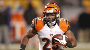 Dec 15, 2013; Pittsburgh, PA, USA; Cincinnati Bengals running back Gio Bernard (25) runs with the ball against the Pittsburgh Steelers during the second quarter at Heinz Field. Mandatory Credit: Charles LeClaire-USA TODAY Sports