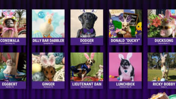 2020 Cadbury Bunny Finalists, photo provided by Cadbury