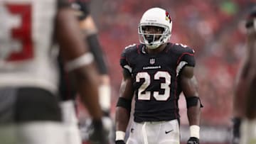 GLENDALE, AZ - OCTOBER 15: Running back Adrian Peterson