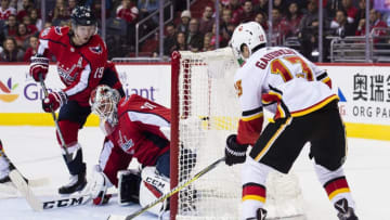 WASHINGTON, DC - NOVEMBER 20: Braden Holtby