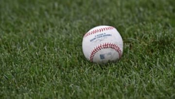 Peter G. Aiken-USA TODAY Sports