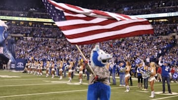 Nov 16, 2014; Indianapolis, IN, USA; Indianapolis Colts mascot Blue carries an American flag before the game against the New England Patriots at Lucas Oil Stadium. Mandatory Credit: Brian Spurlock-USA TODAY Sports
