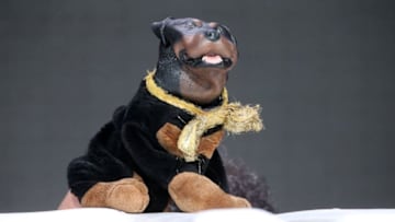 BEVERLY HILLS, CA - AUGUST 05: Triumph, the Insult Comic Dog speaks onstage at the 'Triumph's Summer Election Special 2016' panel discussion during the Hulu portion of the 2016 Television Critics Association Summer Tour at The Beverly Hilton Hotel on August 5, 2016 in Beverly Hills, California. (Photo by Frederick M. Brown/Getty Images)