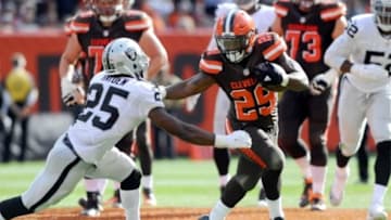 Sep 27, 2015; Cleveland, OH, USA; Cleveland Browns running back Duke Johnson (29) runs the ball on Oakland Raiders cornerback D.J. Hayden (25) during the second half at FirstEnergy Stadium. The Raiders won 27-20. Mandatory Credit: Ken Blaze-USA TODAY Sports