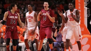 Dec 18, 2015; Greenville, SC, USA; South Carolina Gamecocks forward Laimonas Chatkevicius (14) reacts during the second half against the Clemson Tigers at Bon Secours Wellness Arena. The Gamecocks won 65-59. Mandatory Credit: Dawson Powers-USA TODAY Sports