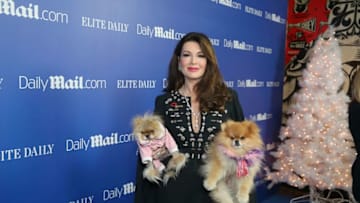 NEW YORK, NY - DECEMBER 07: TV Personality Lisa Vanderpump attends DailyMail.com