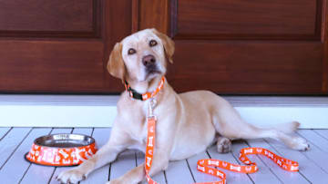 Whataburger Pet Set. Image Courtesy Whataburger