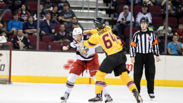 CLEVELAND, OH - APRIL 09: Cleveland Monsters C Jordan Maletta (64) and Grand Rapids Griffins D Dan Renouf (20) fight during the first period of the AHL hockey game between the Grand Rapids Griffins and Cleveland Monsters on April 9, 2017, at Quicken Loans Arena in Cleveland, OH. Cleveland defeated Grand Rapids 4-3 in a shootout. (Photo by Frank Jansky/Icon Sportswire via Getty Images)