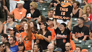 Jun 16, 2015; Baltimore, MD, USA; Baltimore Orioles fan holds a sign during the first inning against the Philadelphia Phillies at Oriole Park at Camden Yards. Mandatory Credit: Tommy Gilligan-USA TODAY Sports