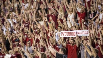 Sep 20, 2014; Fayetteville, AR, USA; Arkansas Razorbacks fans cheer during the second half of a game against the Northern Illinois University Huskies at Donald W. Reynolds Razorback Stadium. Arkansas defeated NIU 52-14. Mandatory Credit: Beth Hall-USA TODAY Sports
