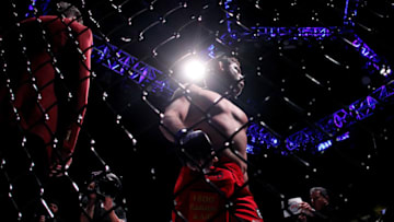 LAS VEGAS, NV - DECEMBER 06: Gilbert Menendez looks on against Anthony Pettis in their lightweight title fight during the UFC 181 event at the Mandalay Bay Events Center on December 6, 2014 in Las Vegas, Nevada. (Photo by Alex Trautwig/Getty Images)