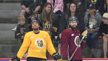 Ryan Reaves (L) #75 and Alex Tuch #89 of the Vegas Golden Knights. (Photo by Ethan Miller/Getty Images)