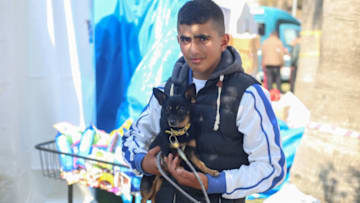 HATAY, TURKIYE- FEBRUARY 23: Earthquake victim dog on February 23, 2023 in Hatay, Türkiye. The death toll from a catastrophic earthquake that hit Turkey and Syria has topped 41,000, with search and rescue teams starting to wind down their work. (Photo by Hakan Akgun / dia images via Getty Images)