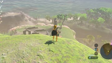 Credit: Nintendo