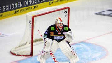 Jan 2, 2016; Dusseldorf, Germany; Dusseldorfer EG goalie Mathias Niederberger (35) guards the net against the Straubing Tigers during the second period at the ISS Dome. Dusseldorfer EG won 2-1. Mandatory Credit: Janik Beichler - NRW Hockey