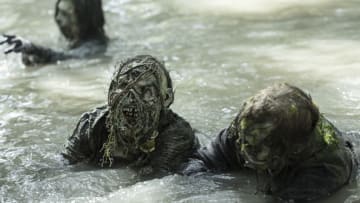 - Fear the Walking Dead _ Season 8, Episode 1 - Photo Credit: Lauren "Lo" Smith/AMC