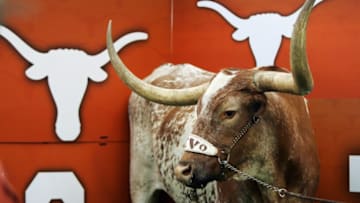 AUSTIN, TX - OCTOBER 10: Bevo, the mascot of the Texas Longhorns, stands in his corner during a game against the Colorado Buffaloes on October 10, 2009 at Darrell K Royal-Texas Memorial Stadium in Austin, Texas. Texas won 38-14. (Photo by Brian Bahr/Getty Images)