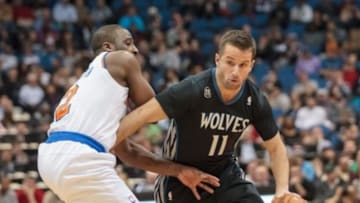 Mar 5, 2014; Minneapolis, MN, USA; Minnesota Timberwolves guard J.J. Barea (11) dribbles in the fourth quarter against the New York Knicks point guard Raymond Felton (2) at Target Center. The Knicks win 118-106. Mandatory Credit: Brad Rempel-USA TODAY Sports