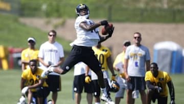 Jul 26, 2014; Latrobe, PA, USA; Pittsburgh Steelers receiver Martavis Bryant (10) pulls in a pass in drills during training camp at Saint Vincent College. Mandatory Credit: Charles LeClaire-USA TODAY Sports