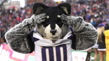 Nov 25, 2016; Pullman, WA, USA; Washington Huskies mascot Harry the Husky looks on against the Washington State Cougars during the second half at Martin Stadium. The Huskies won 45-17. Mandatory Credit: James Snook-USA TODAY Sports