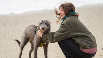 FALMOUTH, CORNWALL - FEBRUARY 18: A dog owner and her Bedlington Whippet, Merlyn, enjoy a walk by the sea at Gyllyngvase Beach on February 18, 2022 in Falmouth, Cornwall. The Met Office has issued two rare, red weather warnings for the South and South West of England today as Storm Eunice makes landfall. Much of the rest of the UK is under amber and yellow warnings with winds up to 100 mph, rain and snow expected. This is the worst storm to hit the UK for three decades (Photo by Hugh Hastings/Getty Images)