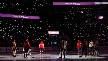 Washington Capitals Mandatory Credit: Geoff Burke-USA TODAY Sports