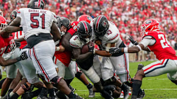 South Carolina football offensive tackle Tree Babalade and offensive line got just enough push for DK Joyner to score. Mandatory Credit: Dale Zanine-USA TODAY Sports