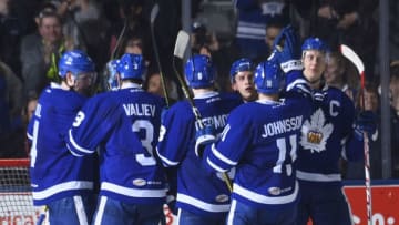 TORONTO, ON - MAY 15: The Toronto Marlies celebrate their victory over the Syracuse Crunch during game 6 action in the Division Final of the Calder Cup Playoffs on May 15, 2017 at Ricoh Coliseum in Toronto, Ontario, Canada. Marlies beat the Crunch 2-1 to tie the series 3-3. (Photo by Graig Abel/Getty Images)