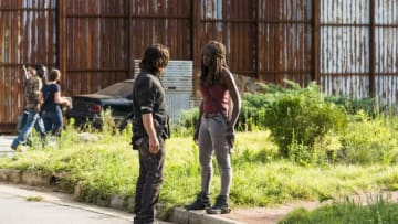 Norman Reedus as Daryl Dixon, Danai Gurira as Michonne - The Walking Dead _ Season 8, Episode 8 - Photo Credit: Gene Page/AMC
