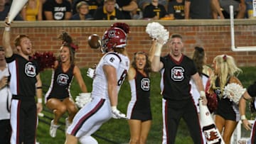 South Carolina football's best-ever tight end Hayden Hurst signed a deal with the Carolina Panthers in NFL free agency. Mandatory Credit: Denny Medley-USA TODAY Sports