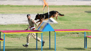 ISLAMABAD, PAKISTAN - OCTOBER 18: A general view of the agility training course as Prince William, Duke of Cambridge and Catherine, Duchess of Cambridge visit an Army Canine Centre, where the UK provides support to a programme that trains dogs to identify explosive devices, during day five of their royal tour of Pakistan on October 18, 2019 in Islamabad, Pakistan. (Photo by Chris Jackson - Pool/Getty Images)
