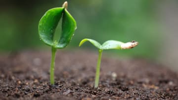 ThinkStock