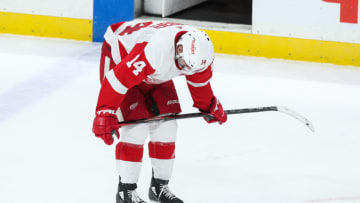 Robby Fabbri, Detroit Red Wings (Photo by David Berding/Getty Images)