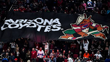 GLENDALE, ARIZONA - FEBRUARY 15: Fans hold an Arizona Coyotes banner in the stands during the NHL game between the Washington Capitals and Arizona Coyotes at Gila River Arena on February 15, 2020 in Glendale, Arizona. (Photo by Jennifer Stewart/Getty Images )