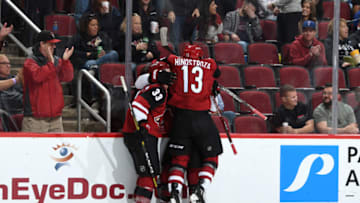 GLENDALE, ARIZONA - NOVEMBER 07: Vinnie Hionostroza #13 of the Arizona Coyotes jumps on teammates Alex Goligoski #33 and Jakob Chychrun #6 after Chychrun's goal against the Columbus Blue Jackets during the second period at Gila River Arena on November 07, 2019 in Glendale, Arizona. (Photo by Norm Hall/NHLI via Getty Images)