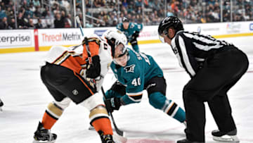 SAN JOSE, CA - OCTOBER 03: Antti Suomela #40 of the San Jose Sharks prepares for the face-off against Nate Guenin #34 of the Anaheim Ducks at SAP Center on October 3, 2018 in San Jose, California (Photo by Brandon Magnus/NHLI via Getty Images)