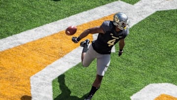 The Lions signed Baylor Bears wide receiver Jay Lee (4) who will compete for a position behind Golden Tate and Marvin Jones. Mandatory Credit: Jerome Miron-USA TODAY Sports